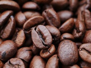 coffee beans background