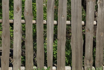 gray  wooden texture of a boards in the wall of the fence