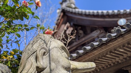 天狗像と一輪の花
The sculpture of Japanese legendary creature "Tengu"