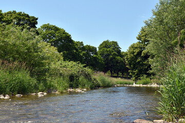 Dreisam in Freiburg im Fr&uuml;hling