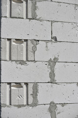 raw brickwall with visible concrete lines