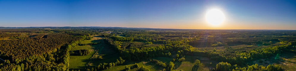 aerial panorama of the forest