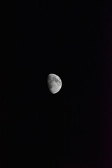 Moon 