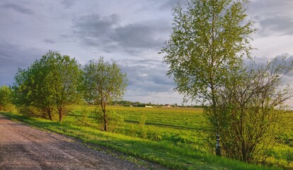 rural landscape with a road