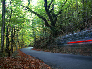 UNESCO World Heritage, 