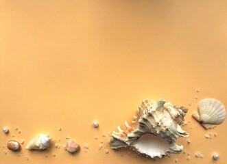 Composition of one large rapan shell and several small other shells, stones, pearls and white crystals on a pale orange yellow background with space for text