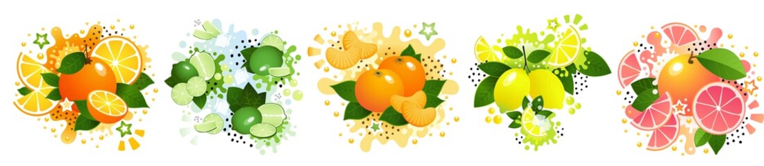 Set of citrus fruits, including orange, lime, tangerine, lemon and grapefruit. Bright vector style with splashes and stars