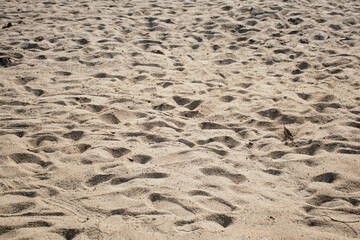 Background footprints on the sand pile texture.