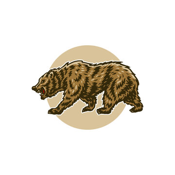 Vector illustration of bear, hand drawn line with digital color, vector illustration