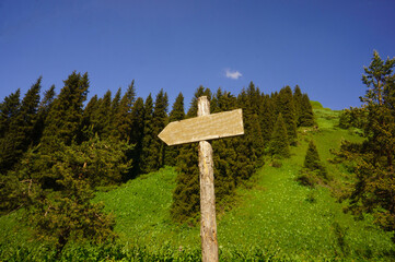 Mountain trail. Trekking route in the mountains. Green lush mountains, blue sky. Road in a mountain forest. Beautiful mountains, sky and flora. Eco travel. Valley of the mountains. Signpost.