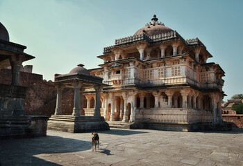 Obraz premium temple with a dog in kumbalgarh fortress, top view, India