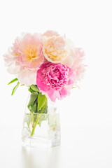 Pink peonies close up on white background. Elegant bouquet in glass vase. Vertical banner