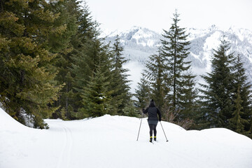 Cross country skier on a snowy mountain trail, in an alpine sports scene