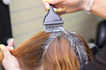 Fototapeta premium gray hair. Application of hair dye to regrown gray hair roots. beauty salon
