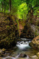 Obraz premium idyllic small mountain stream in a deep ad narrow gorge in lush green springtime forest
