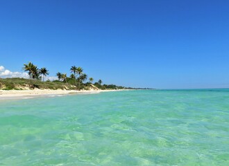 Caribbean beach with palm trees in Cuba