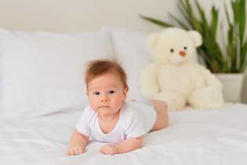 Newborn baby girl resting in bed. Family morning at home. Infant lies on his stomach in bed with a teddy bear