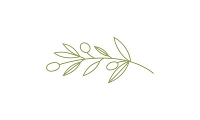  herb, organic, leaf
