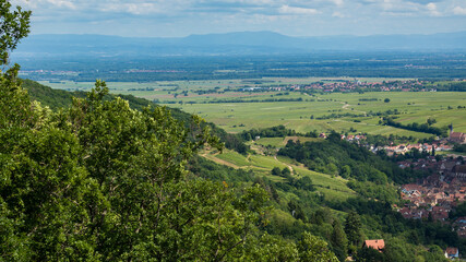 Rural Panorama in Andlau in France
