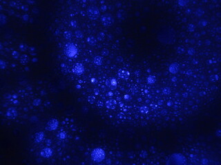Fototapeta na wymiar abstract look different colors strange background horror virus