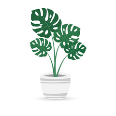Monstera plant in pot. Houseplant decor.Vector illustration.
