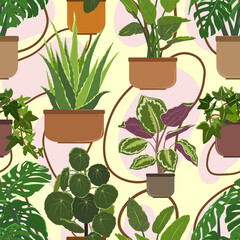 Seamless vector pattern with indoor plants in ceramic brown pots. Dieffenbachia, dracaena, monstera, ivy, aloe vera, sansevieria, palm yucca, ficus, pylea, calathea, figs