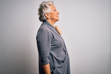 Senior beautiful grey-haired woman wearing casual dress standing over white background looking to...