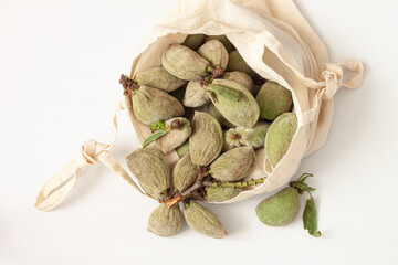 Fresh raw  almonds in the pod isolated on white background