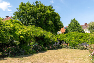 Trees and houses German landscape in spring time 