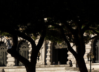 Silhouette of trees and Porto city hall in the background. People in the balcony. Porto, Portugal.