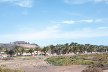 Fototapeta na wymiar Beaches and nature on the island of Fuerteventura, Canary islands, Spain.