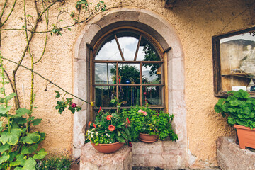 Fototapeta na wymiar outdoors view of old window with plant decoration