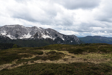 Una bellissima camminata nei pressi di Cason di Lanza