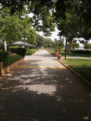 walking in the park in Greece