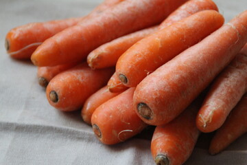 carrots in a hand