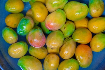 mangoes