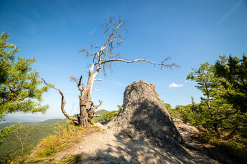 Sulov rocks are famous touristic destination near small city Bytca, Slovakia - 354132937