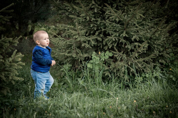 Cute little curious boy standing in deep dark forest 