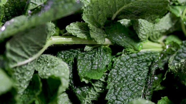 Hojas de menta frescas preparadas para comer saludable