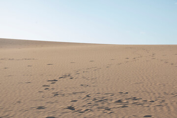 Footprints in the sand dunes in Fuerteventura, Canary islands, Spain.