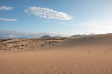 Fototapeta na wymiar Footprints in the sand dunes in Fuerteventura, Canary islands, Spain.