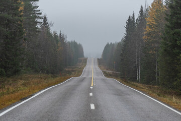 road in the forest in Finland