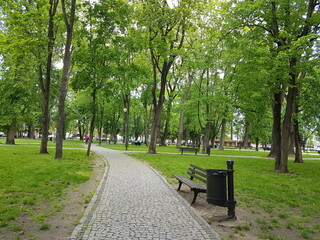 Las Augustów