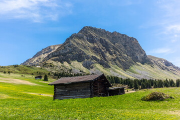 Old log stable on the alpine meadows covered in green grass and colorful flowers in Switzerland during spring