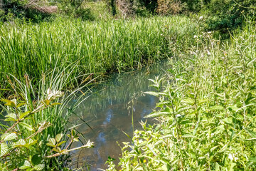  Tranquil, peaceful and tranquil stretch of Honing Canal in the Norfolk countryside, UK