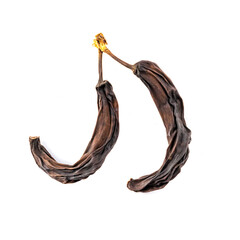 Two old dried bananas, dried, isolated on a white background. Spoiled fruit.