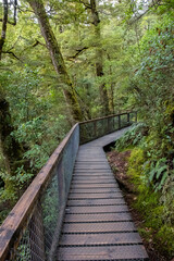 Boardwalk Trail at Blue Pools, South Island, New Zealand