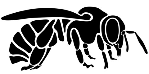 Biene in schwarz und weiß. Abstrakte Abbildung Hand gezeichnet. 