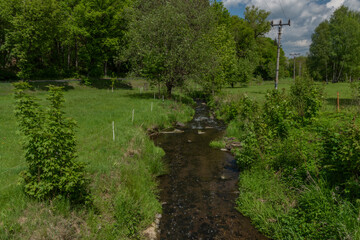 Fototapeta na wymiar Assky creek near Podhradi village in valley with fresh spring forest