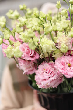 Lisianthus alisa pink